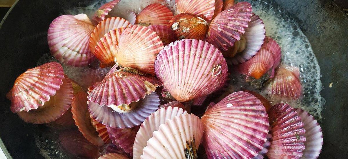 Doug Harder tweet media