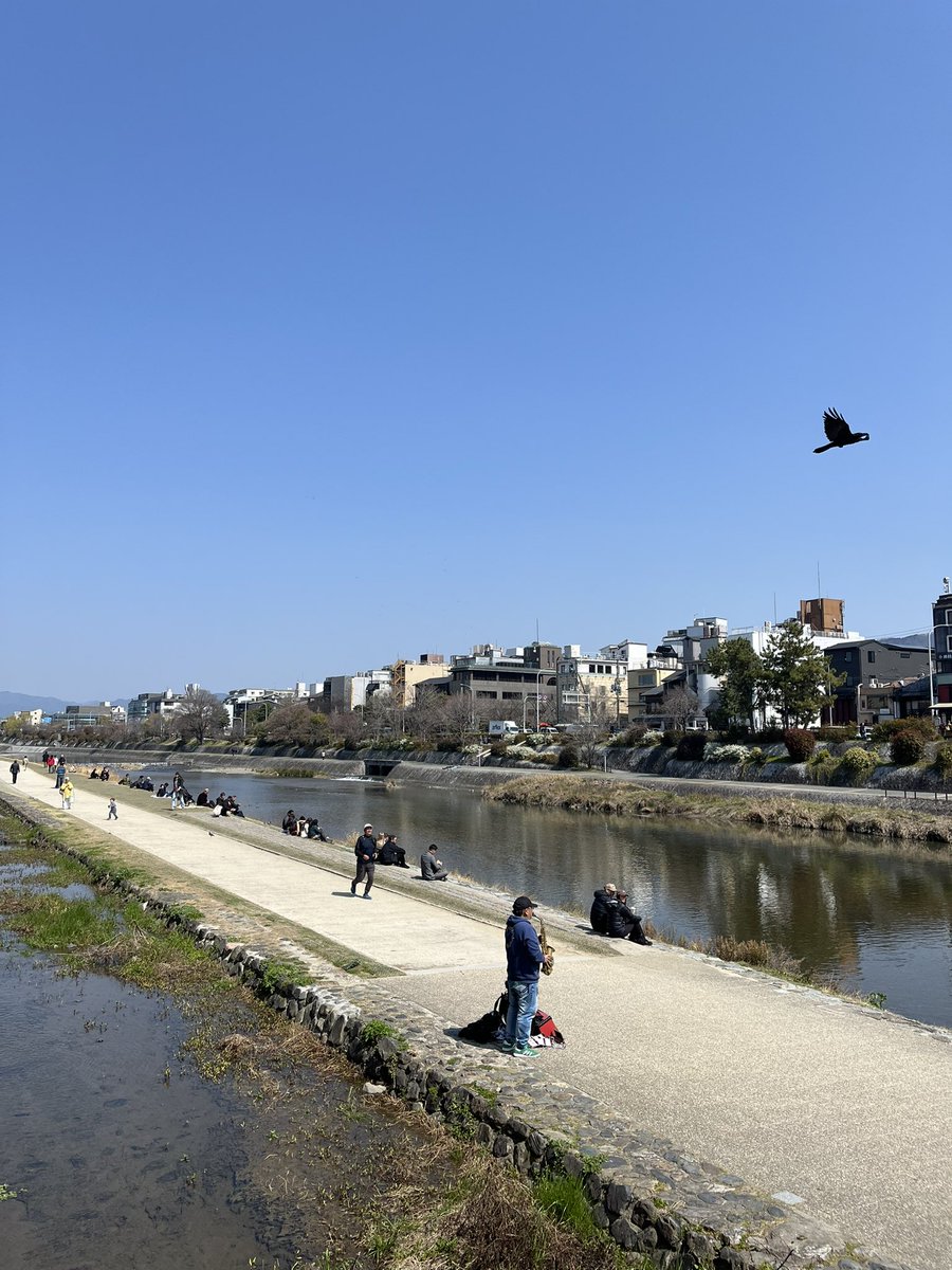 Ｓ Ｈ Ｏ Ｄ Ａ Ｉ tweet media