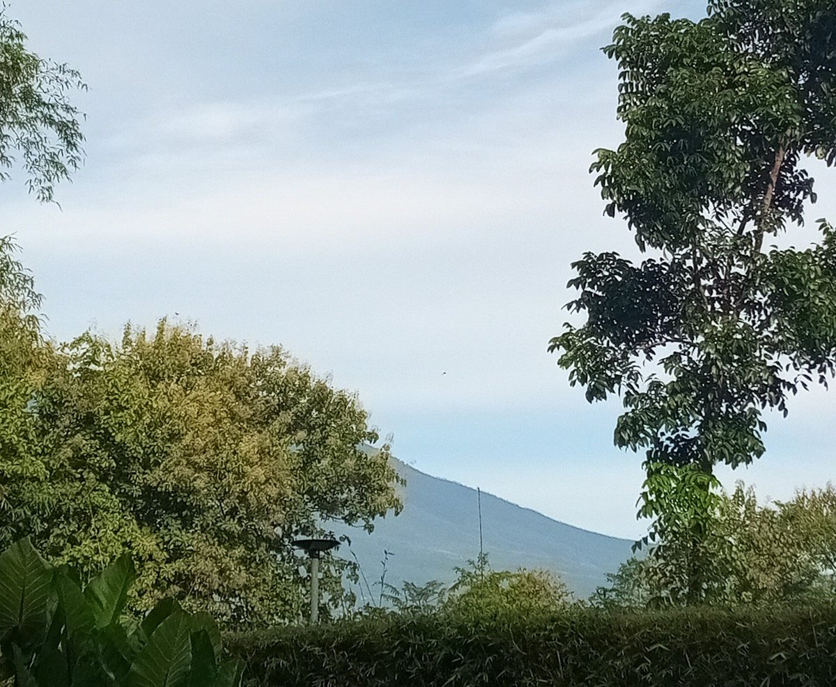 haniva ²⁶ tweet media