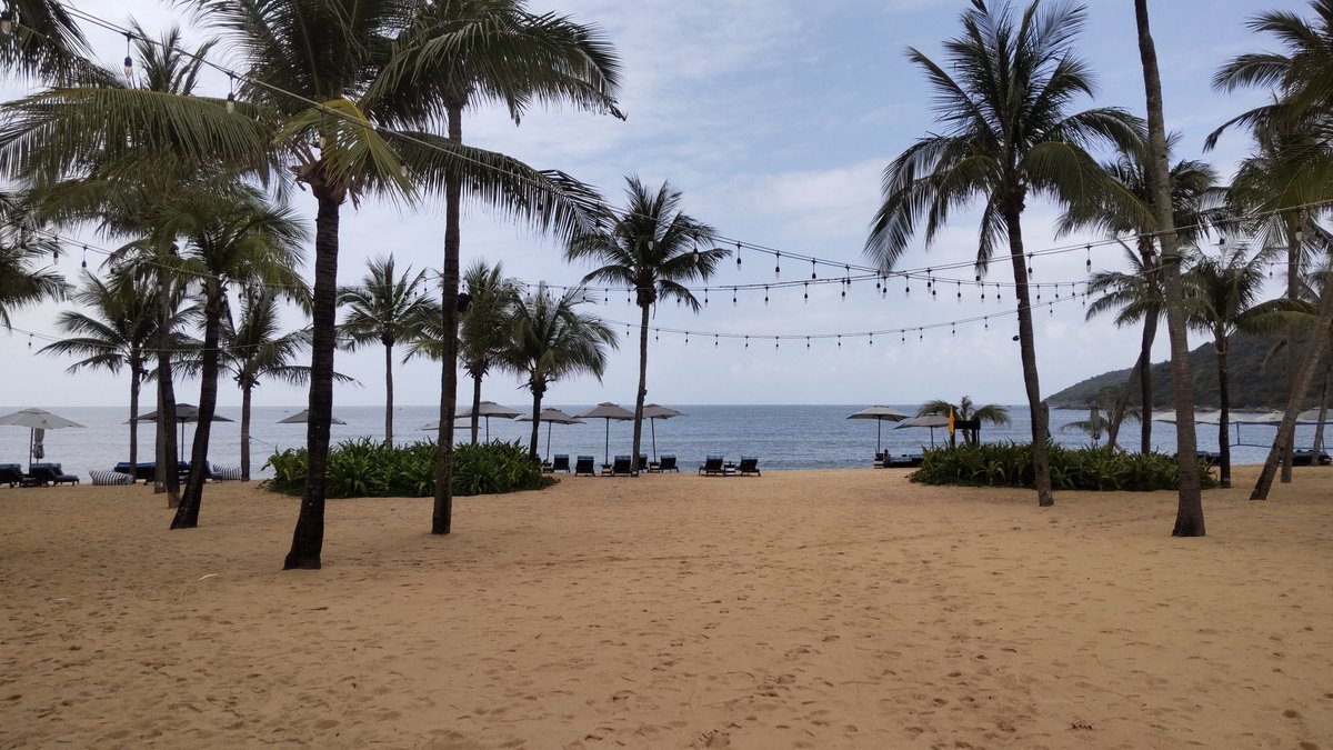 まだ現実世界に戻れていませんが、次の初稿に取りかからないといけないので、その前に校正とかプロットとか読書とかいろいろやります。