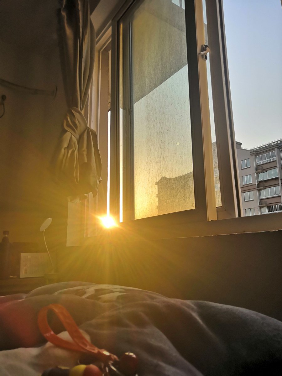 Jocelyn Cecire tweet media