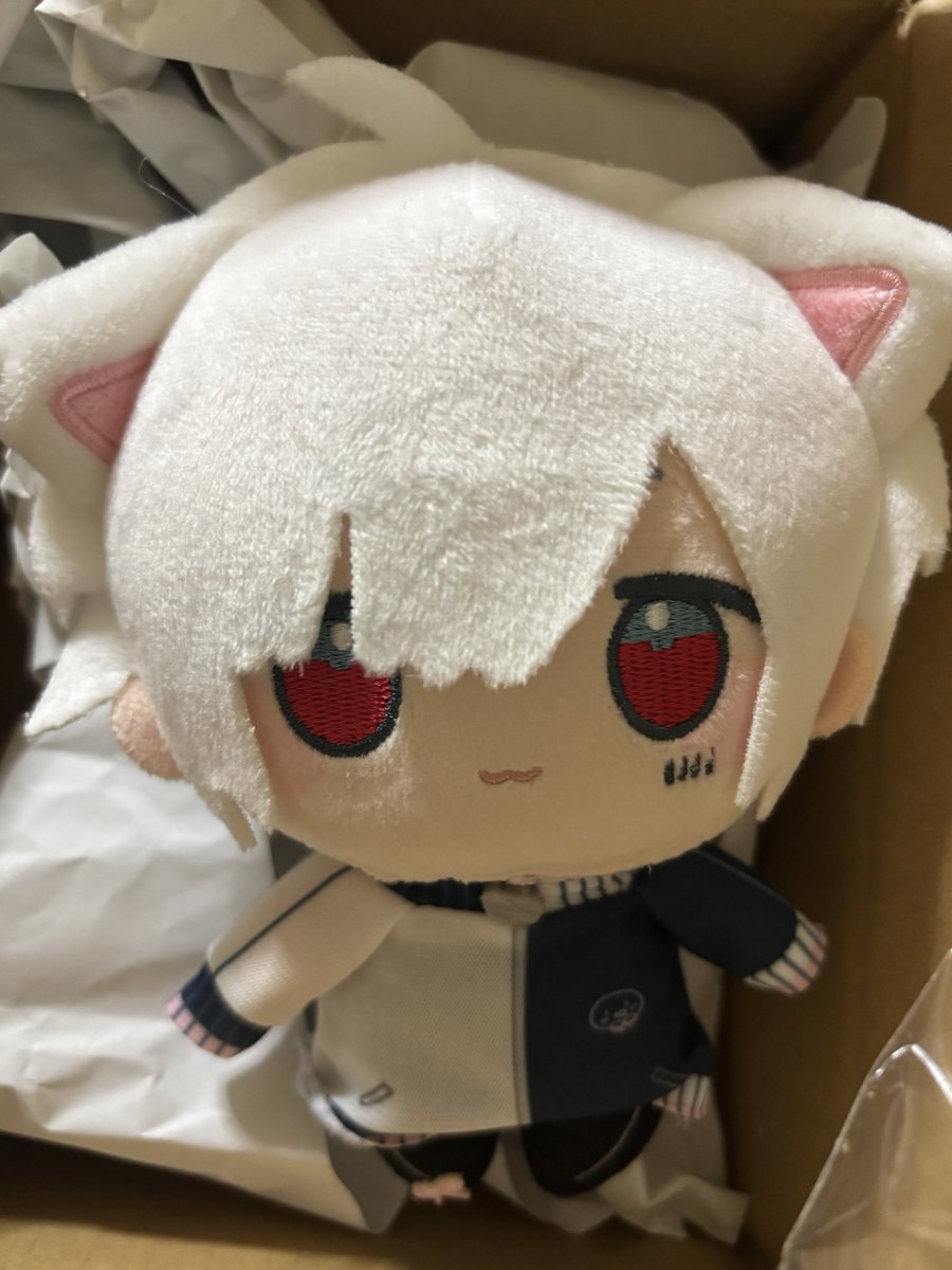 uni_fuaringo's tweet photo. 届いたちびぬいちょっとだけ散髪…！✂️ https://t.co/qeN4BQYUel