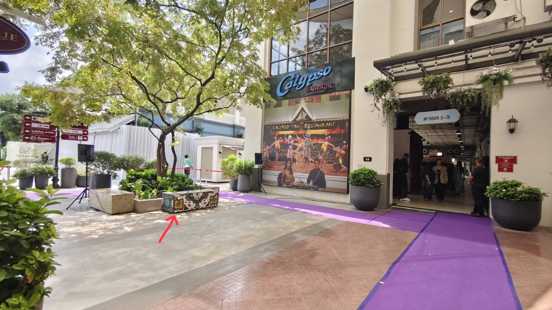 TARA OFFICIAL (slow) tweet media