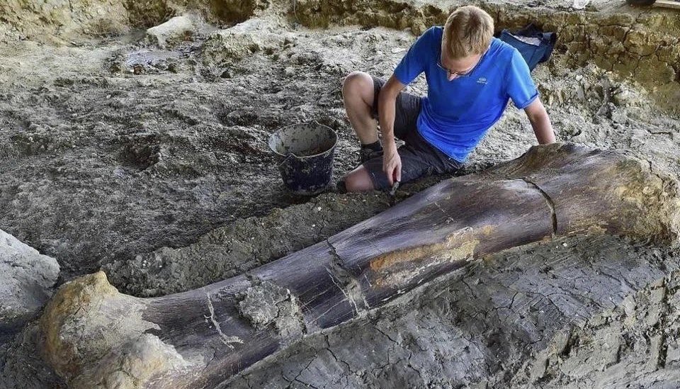 数字商业 iBusiness tweet media