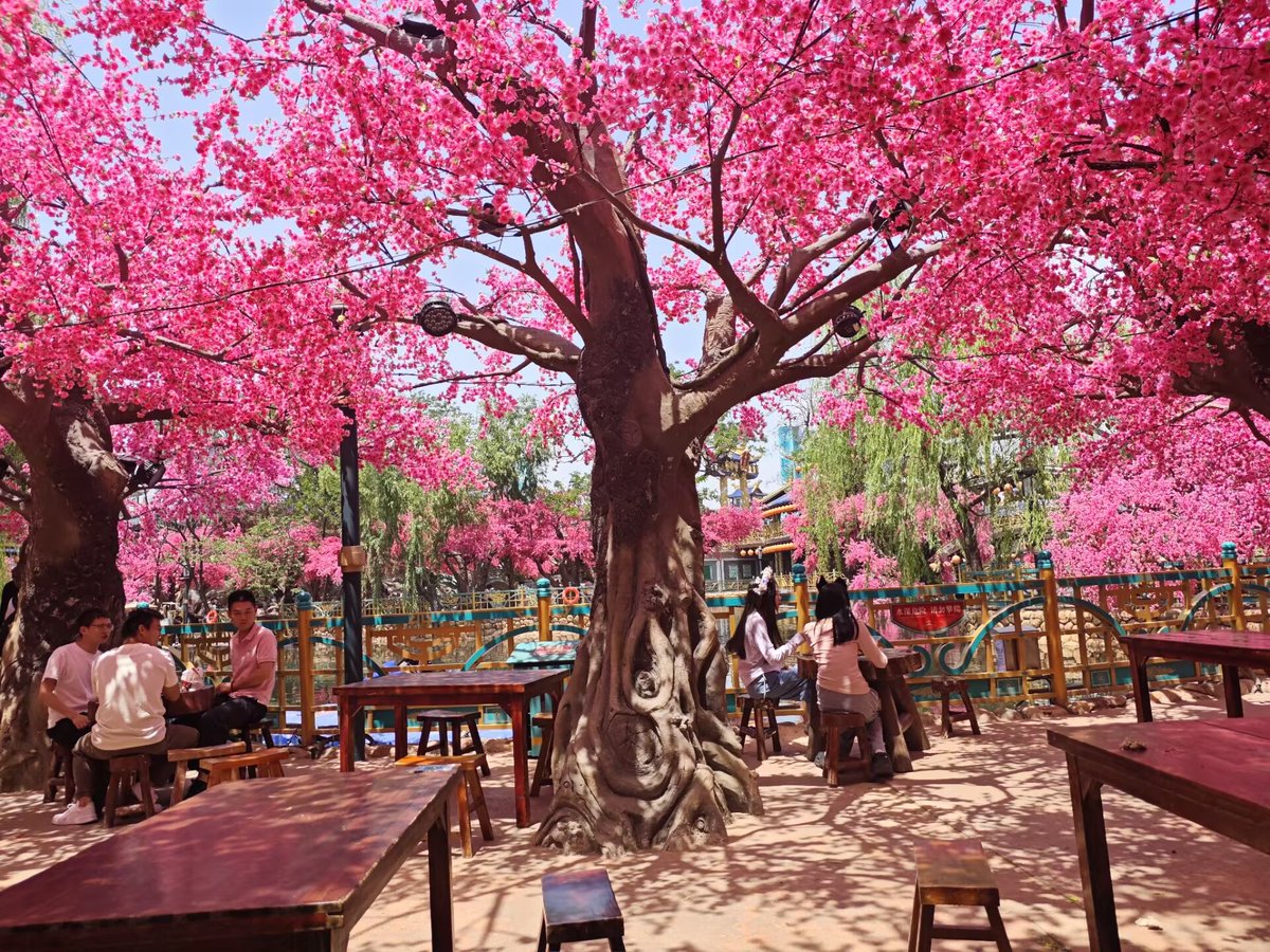 Kelsey Young tweet media