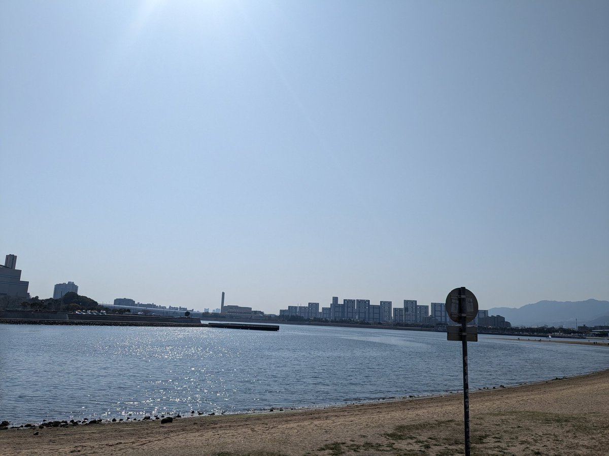 パチェキチ@(´Ծ‸Ծ) tweet media