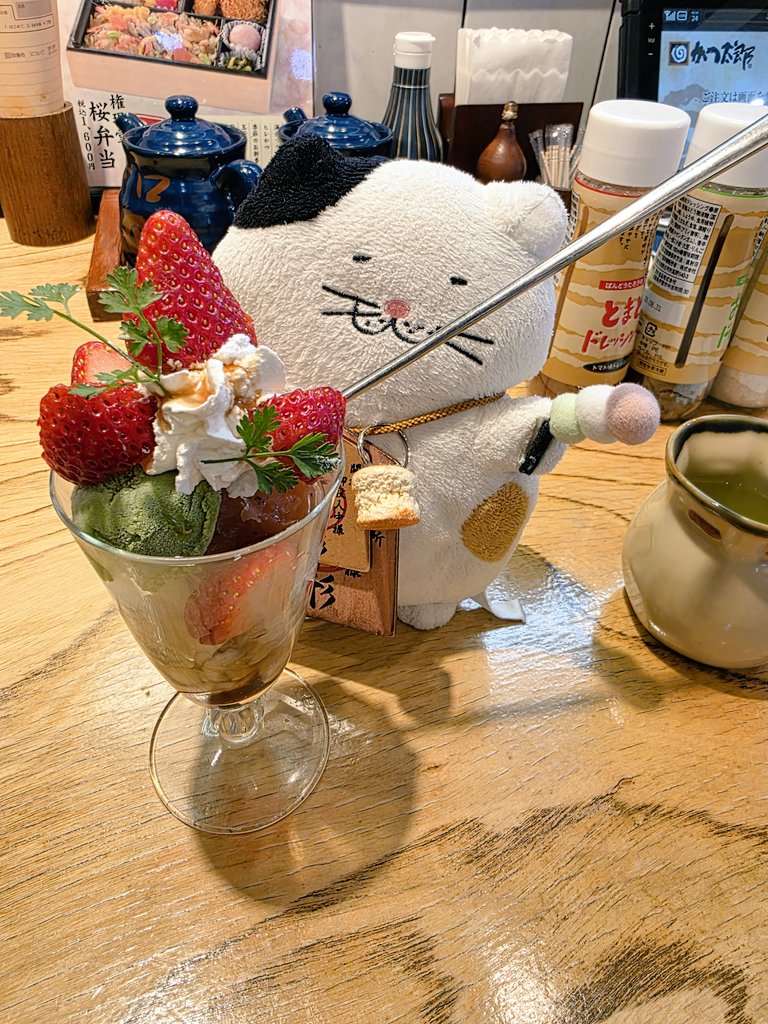 ブチャねこ@おでかけし隊 tweet media