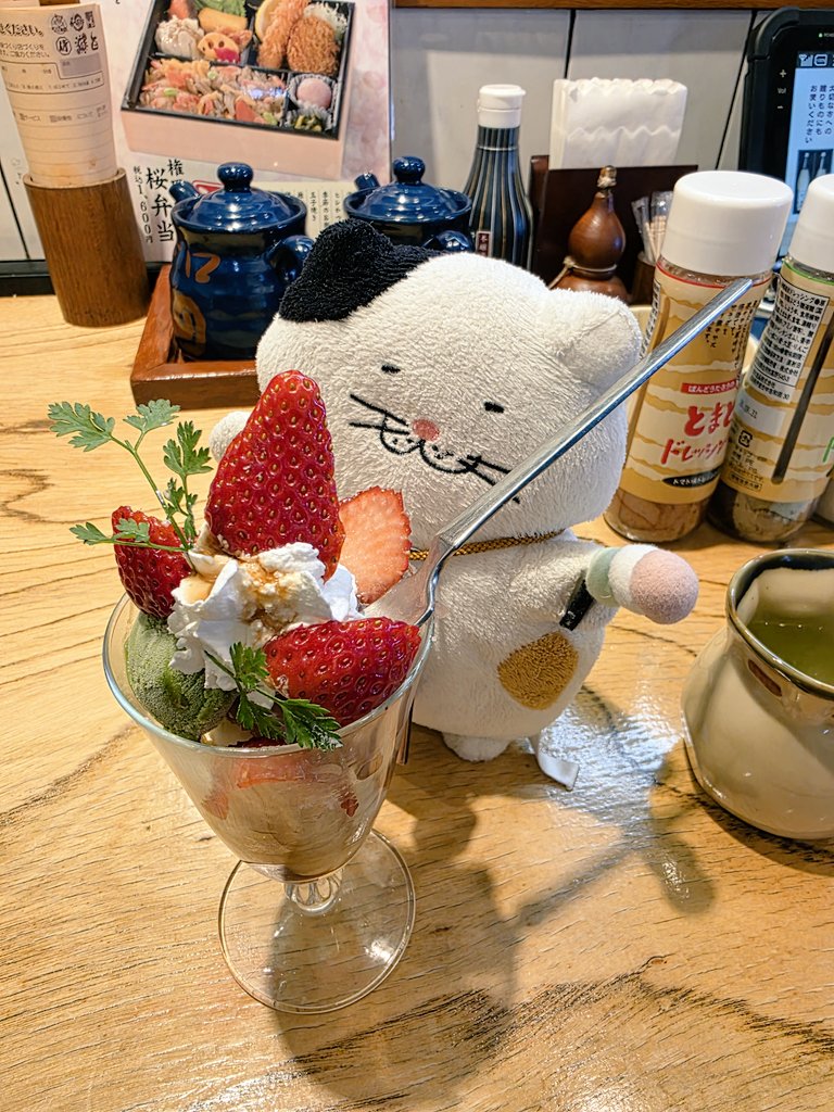 ブチャねこ@おでかけし隊 tweet media