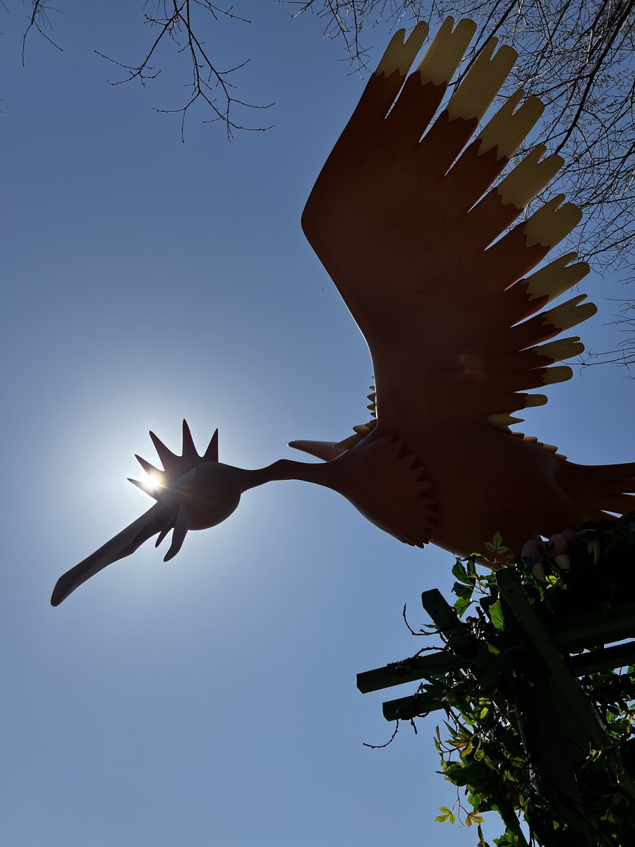 Tales of Taylor 🐧 POKOPIA PRO tweet media