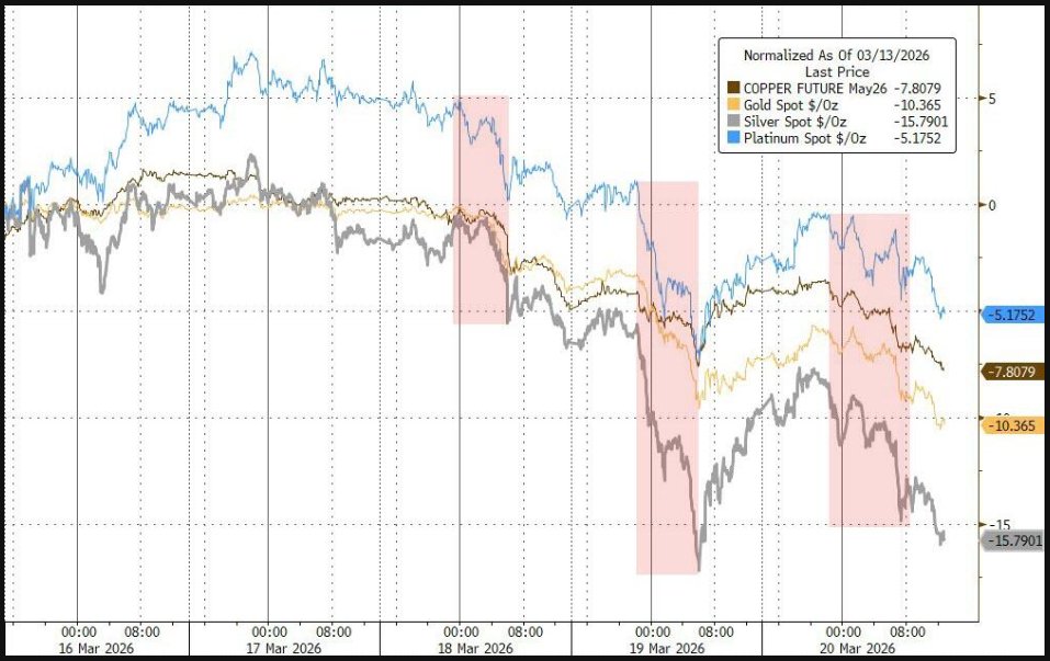 Cynthia 🙉 tweet media