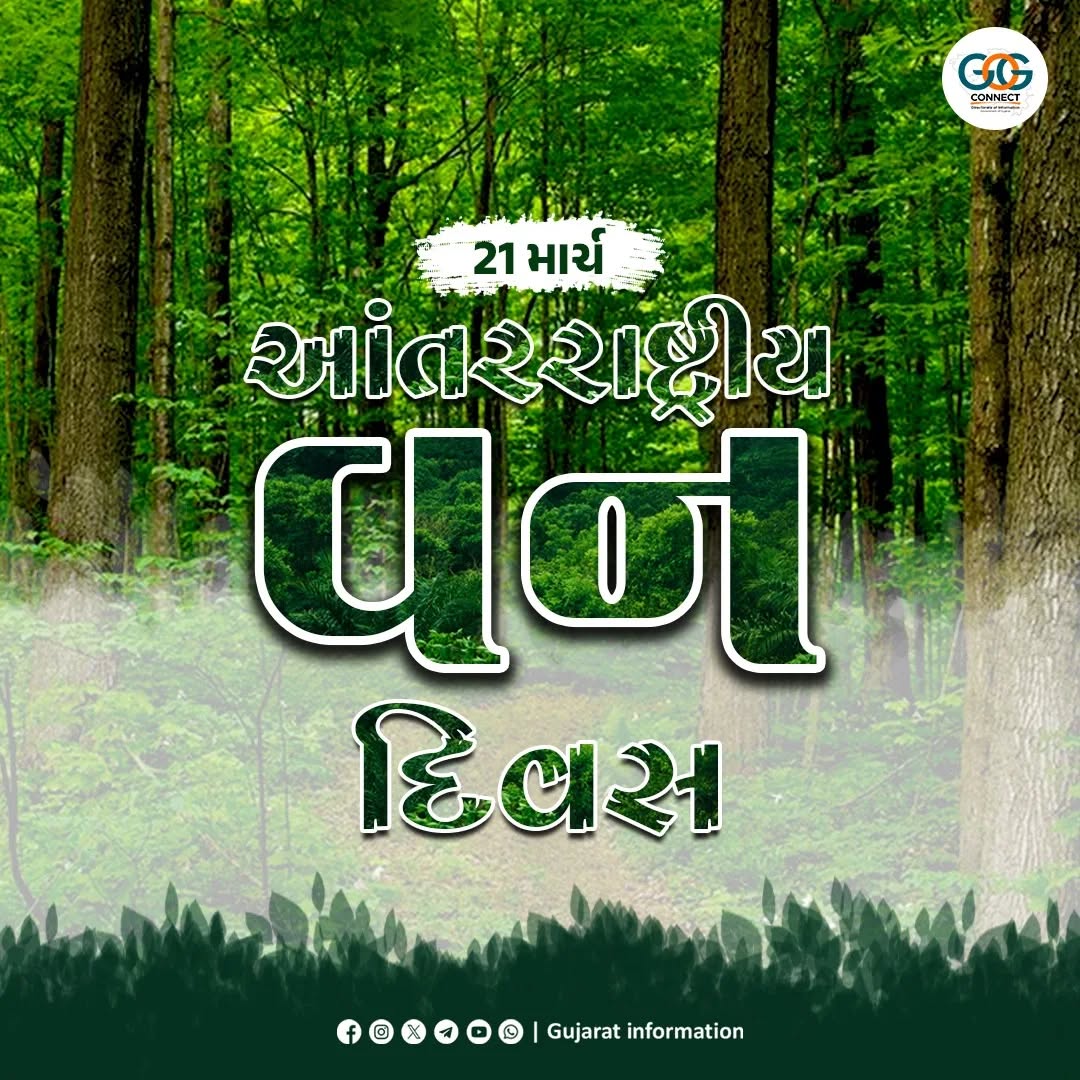 તા. 21 માર્ચ, આંતરરાષ્ટ્રીય વન દિવસ; મુખ્ય હેતુ  જંગલોના સંરક્ષણ માટે પ્રોત્સાહિત કરવાનો છે. વર્ષ 2026 માટે આ દિવસની થીમ 'જંગલો અને અર્થતંત્ર'  રાખવામાં આવી છે, જે આર્થિક સમૃદ્ધિ અને ટકાઉ વિકાસમાં જંગલોની પાયાની ભૂમિકાને ઉજાગર કરે છે.
#InternationalDayofForests2026