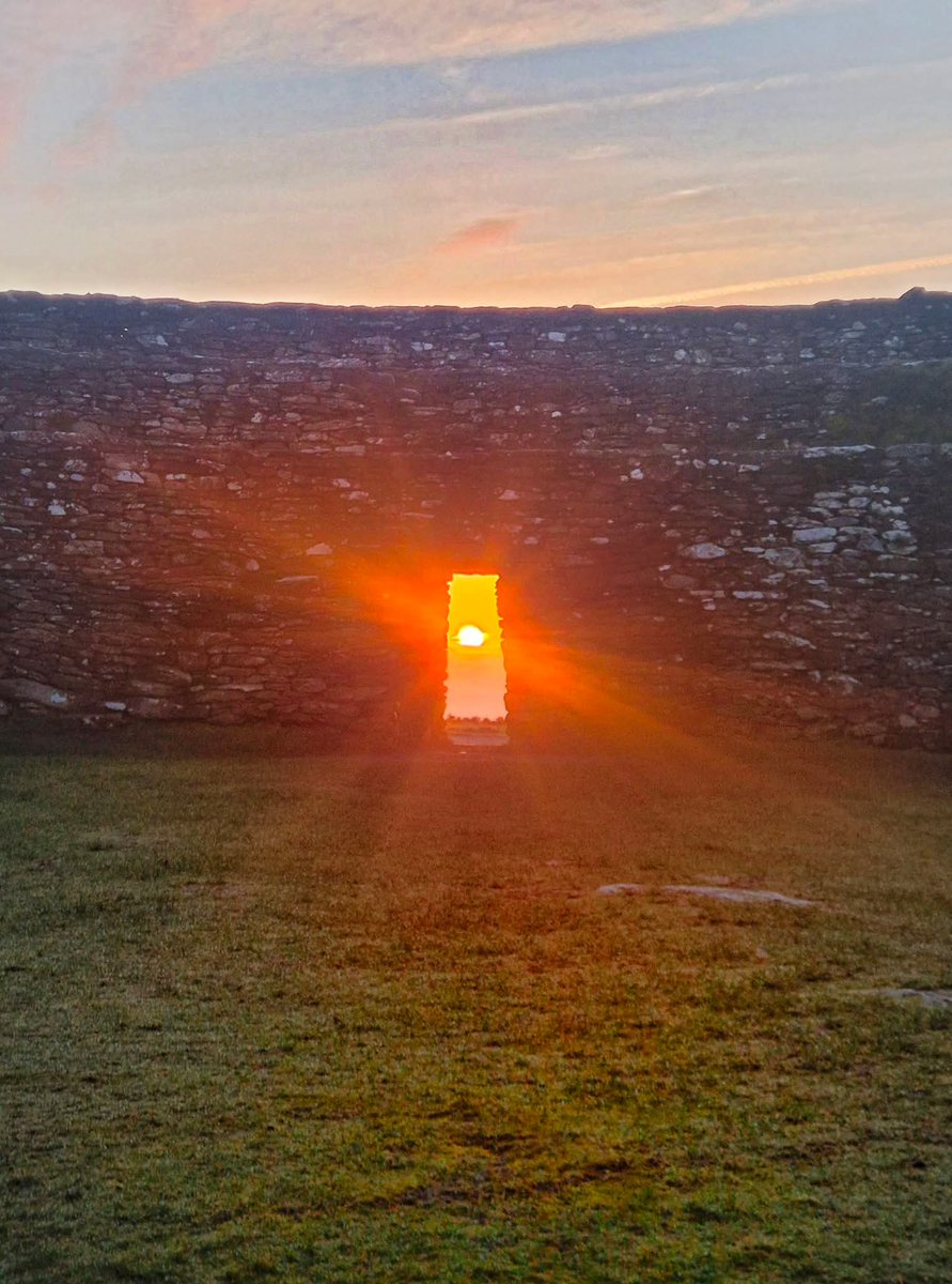 Sharon Higgins tweet media