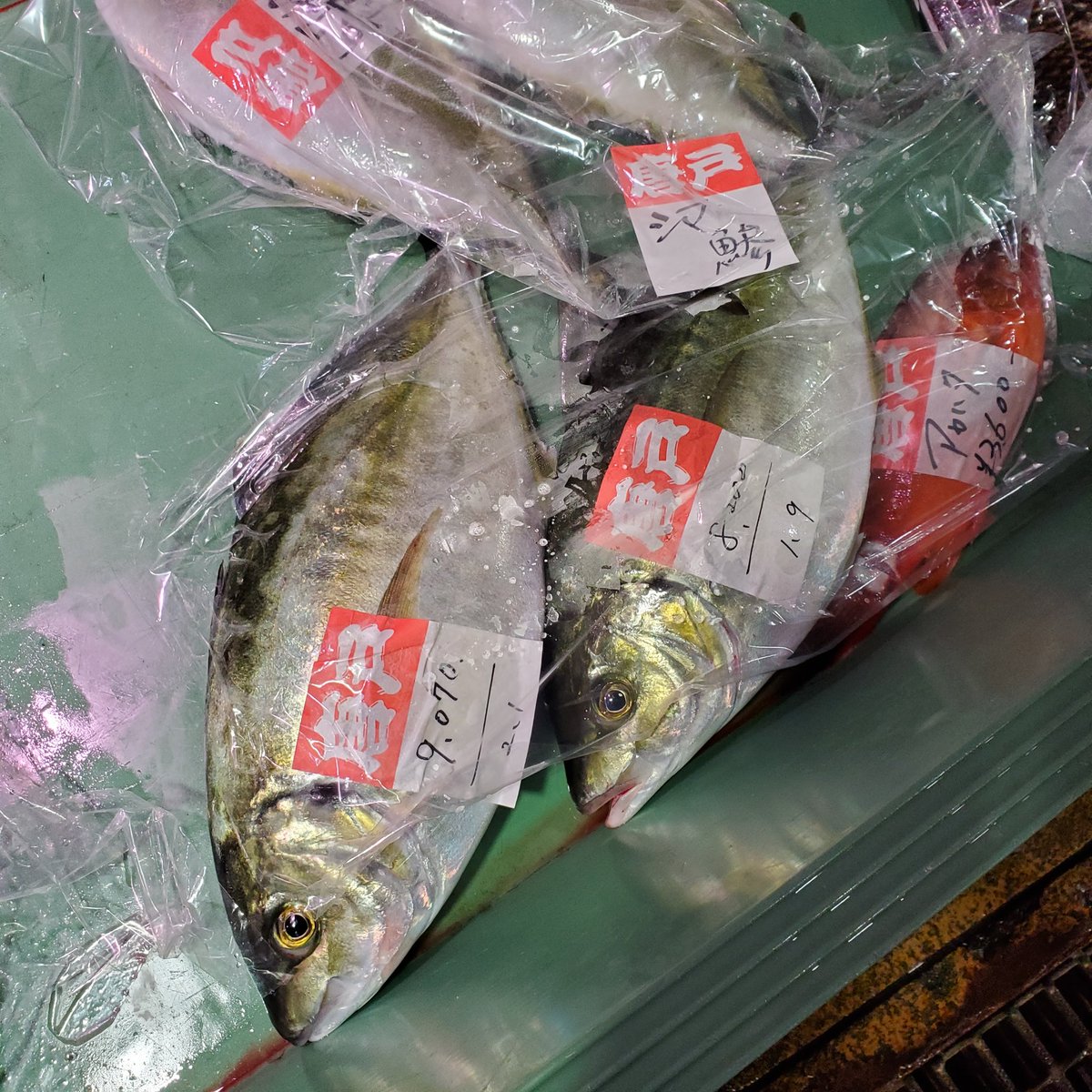 オニヅカ tweet media