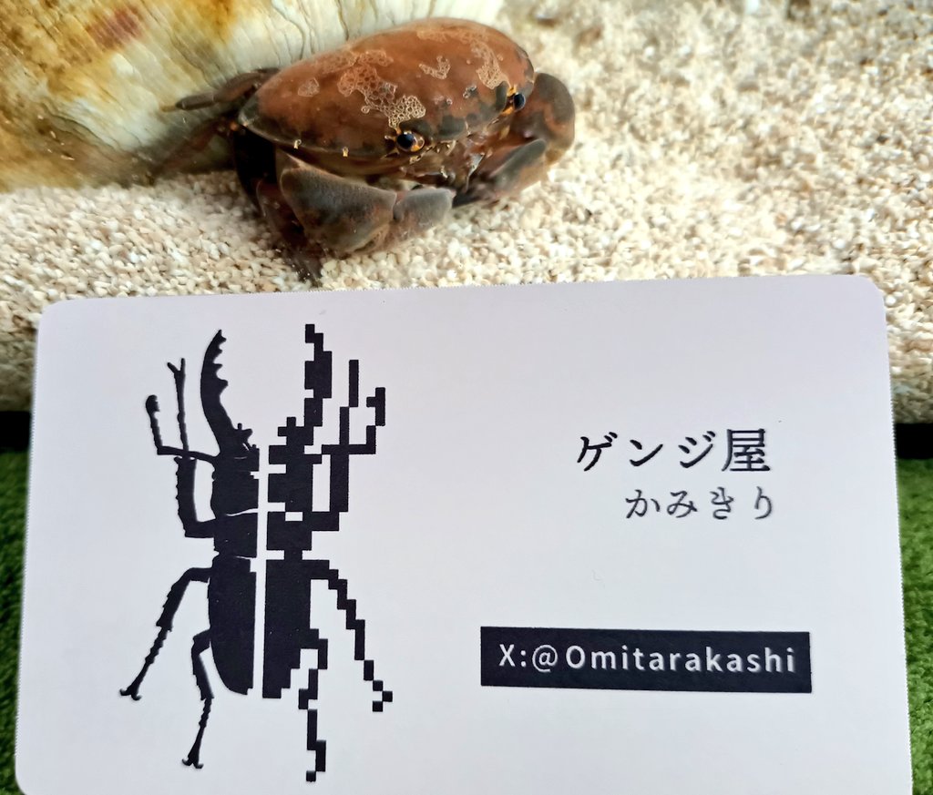 かみきり tweet media