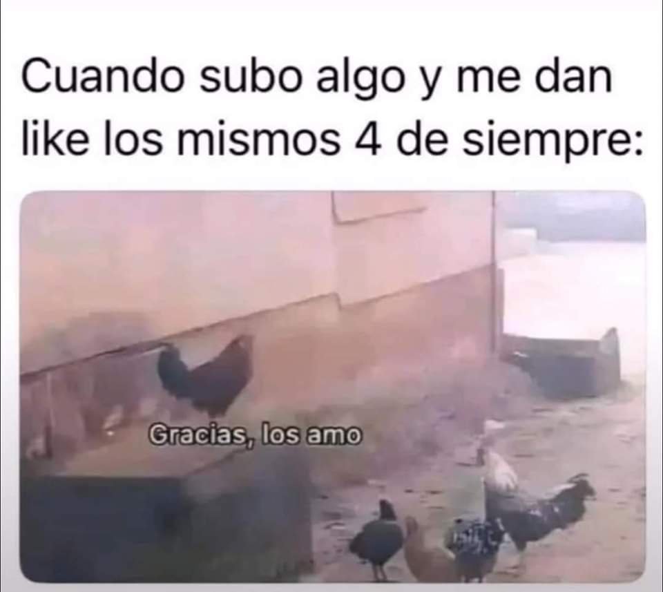 🦝KaicitoElMapache🔞 tweet media