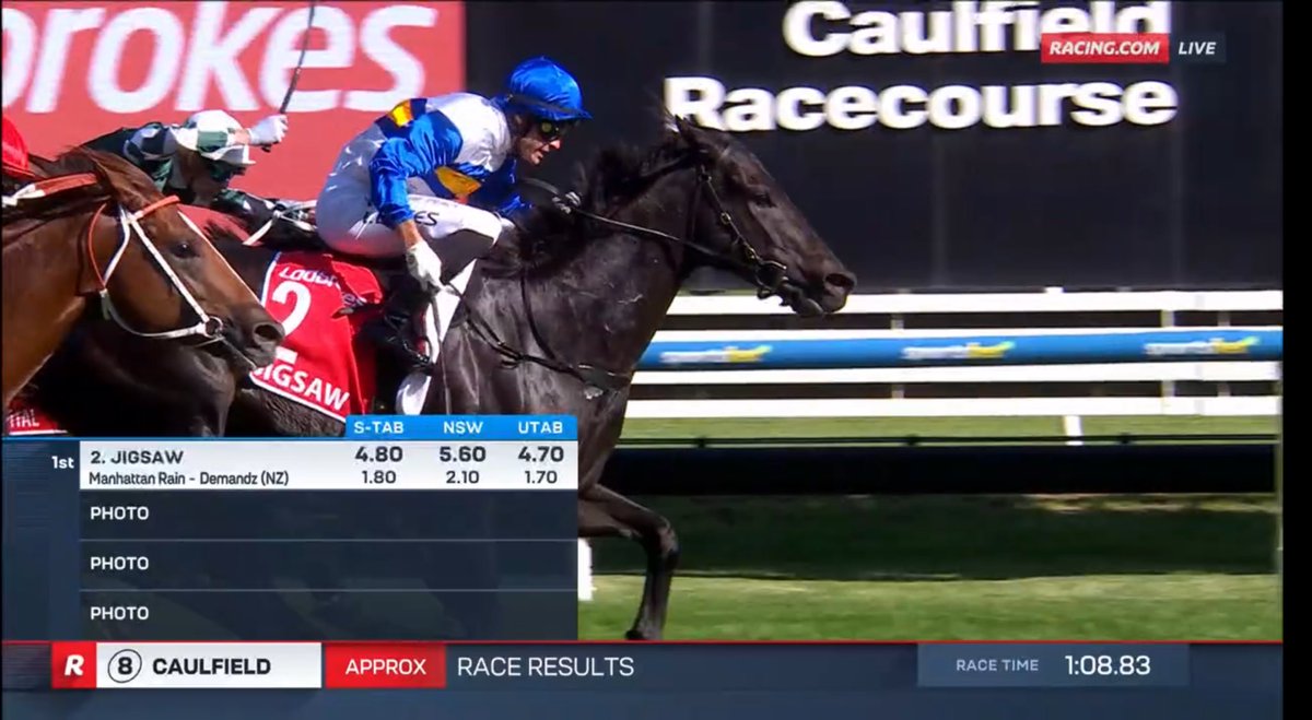 ralph horowitz tweet media