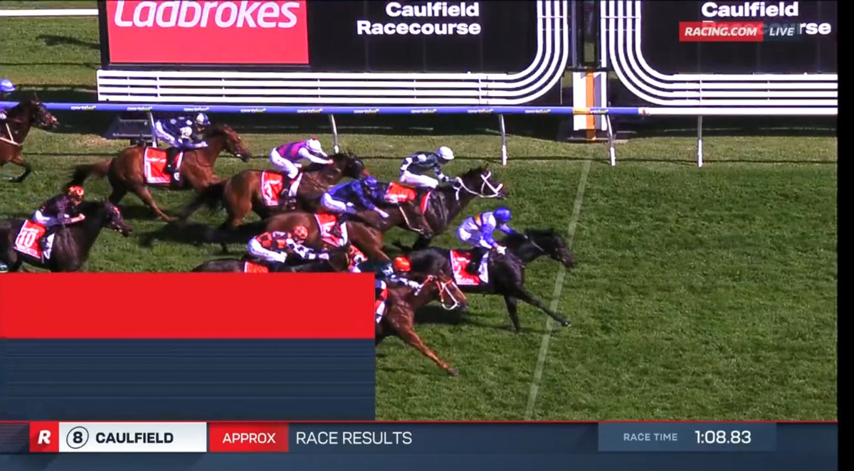 ralph horowitz tweet media