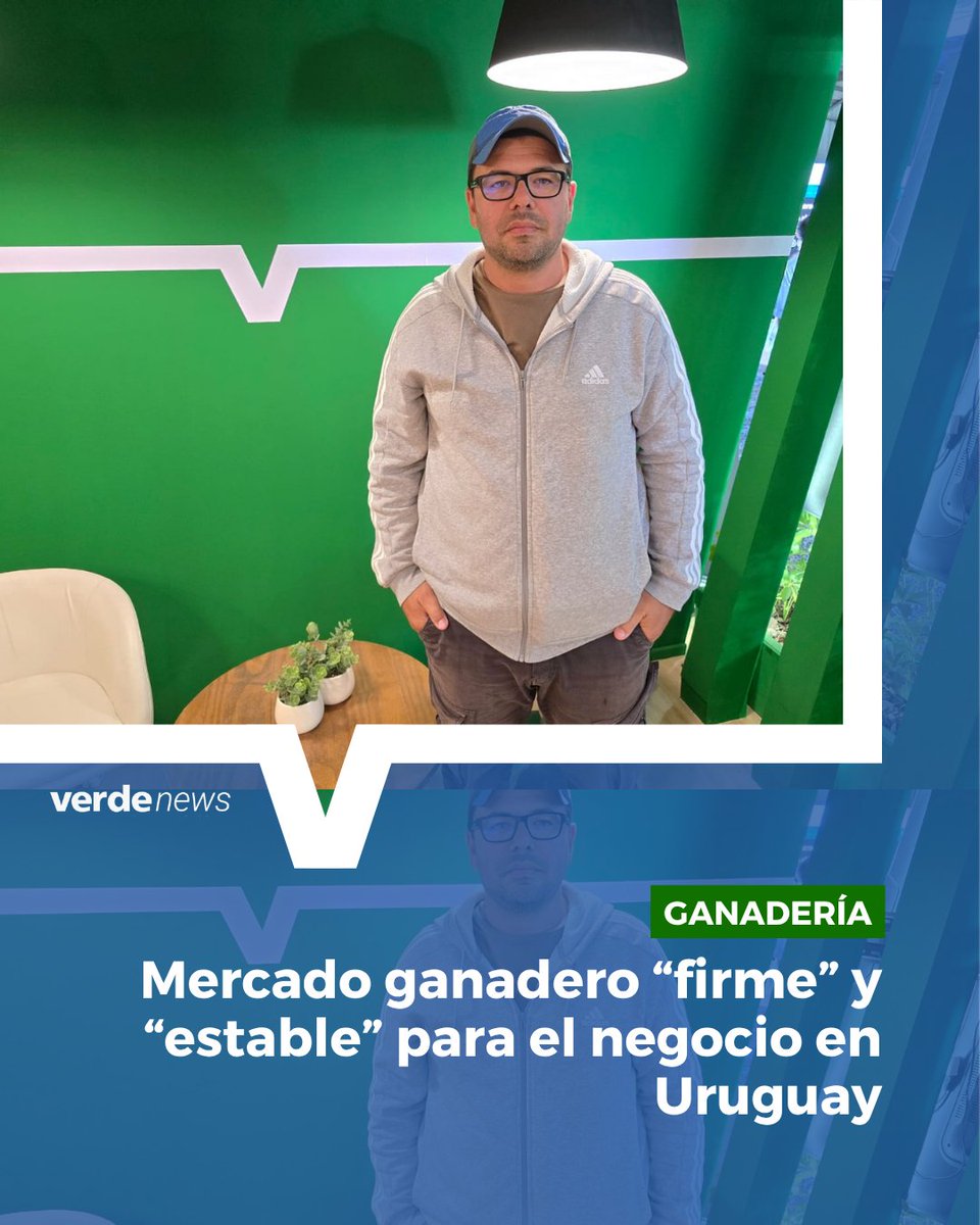 verdemedia tweet media