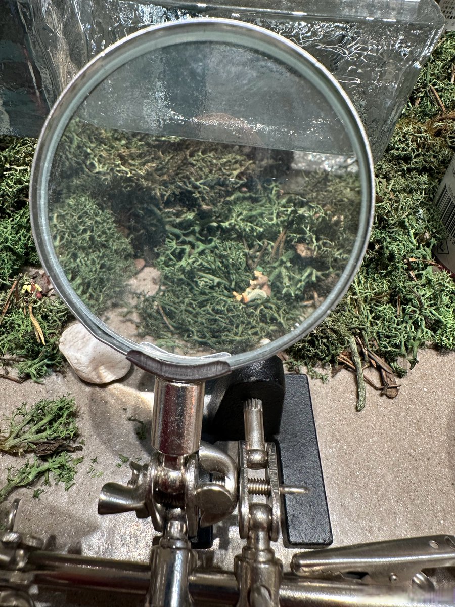 Cheyenne Nicole Mays tweet media