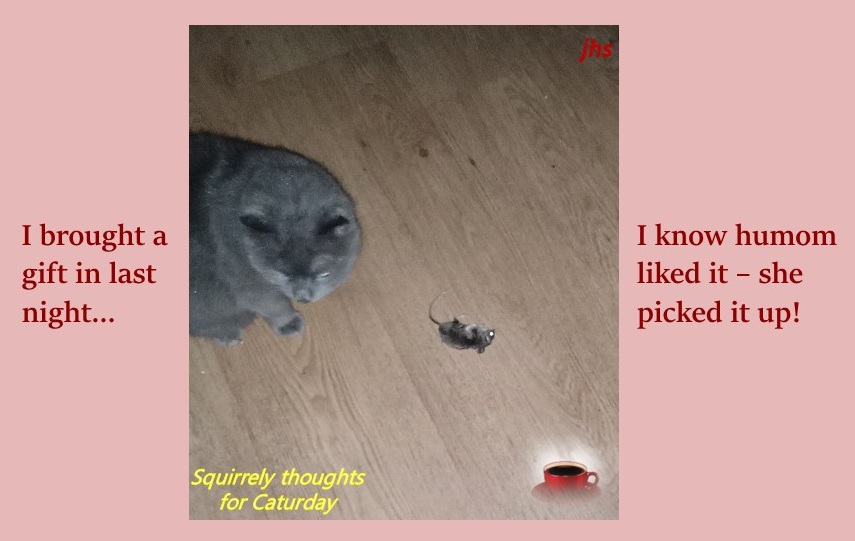 J. Hali Steele tweet media