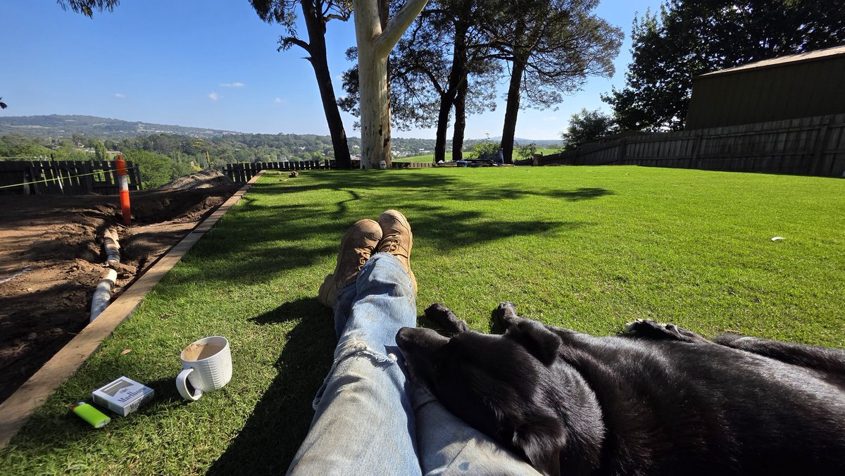 𝗚𝗧 tweet media