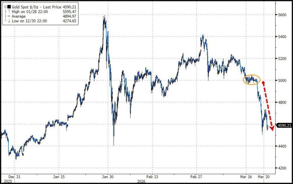 Cynthia 🙉 tweet media