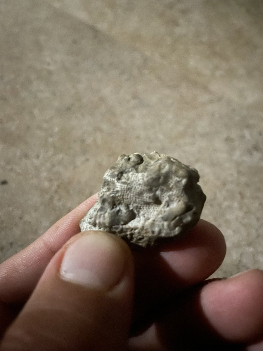 Hiroshima tweet media