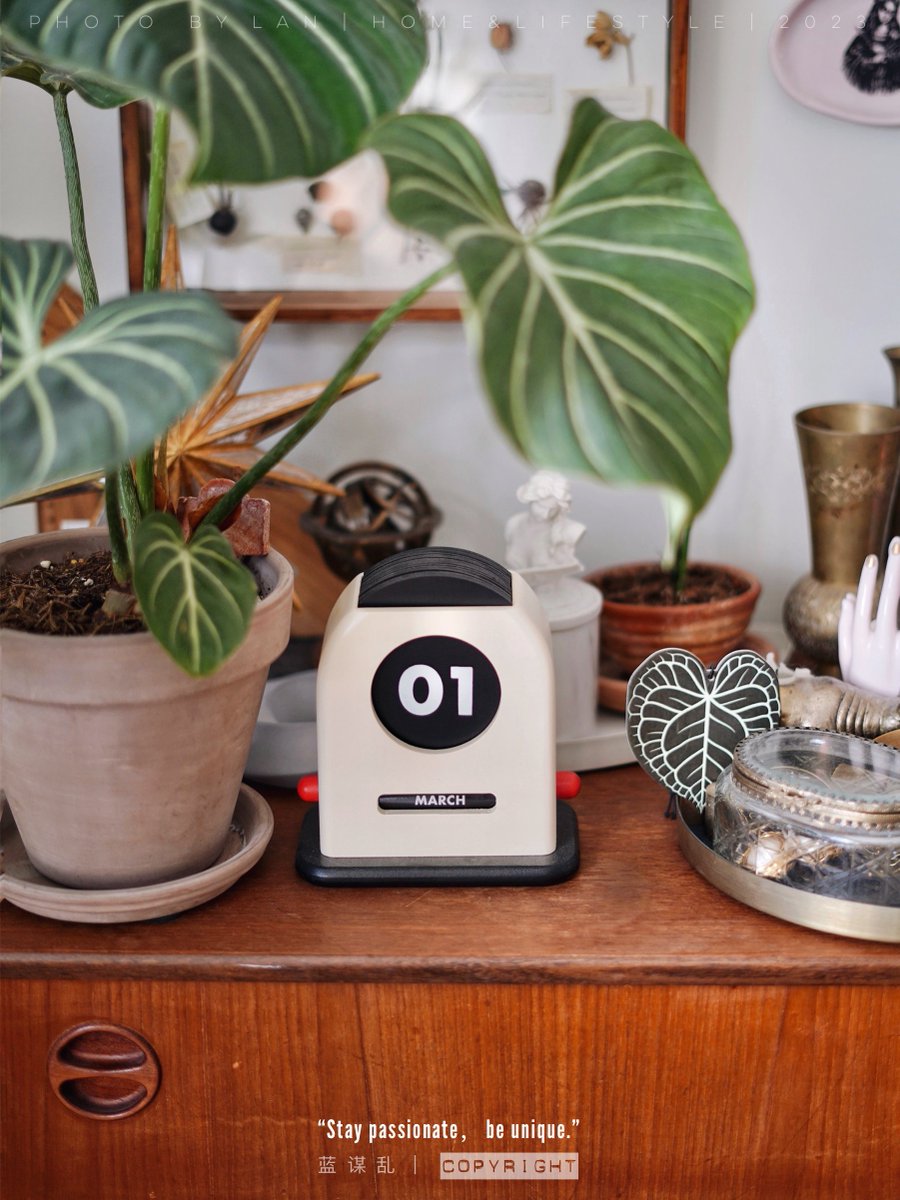 Vladimir V tweet media