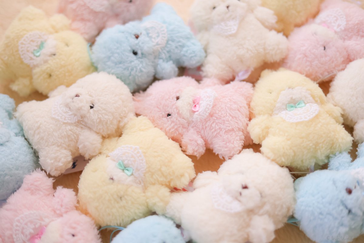 🧸もふもふ工房🧸公式🧸 tweet media