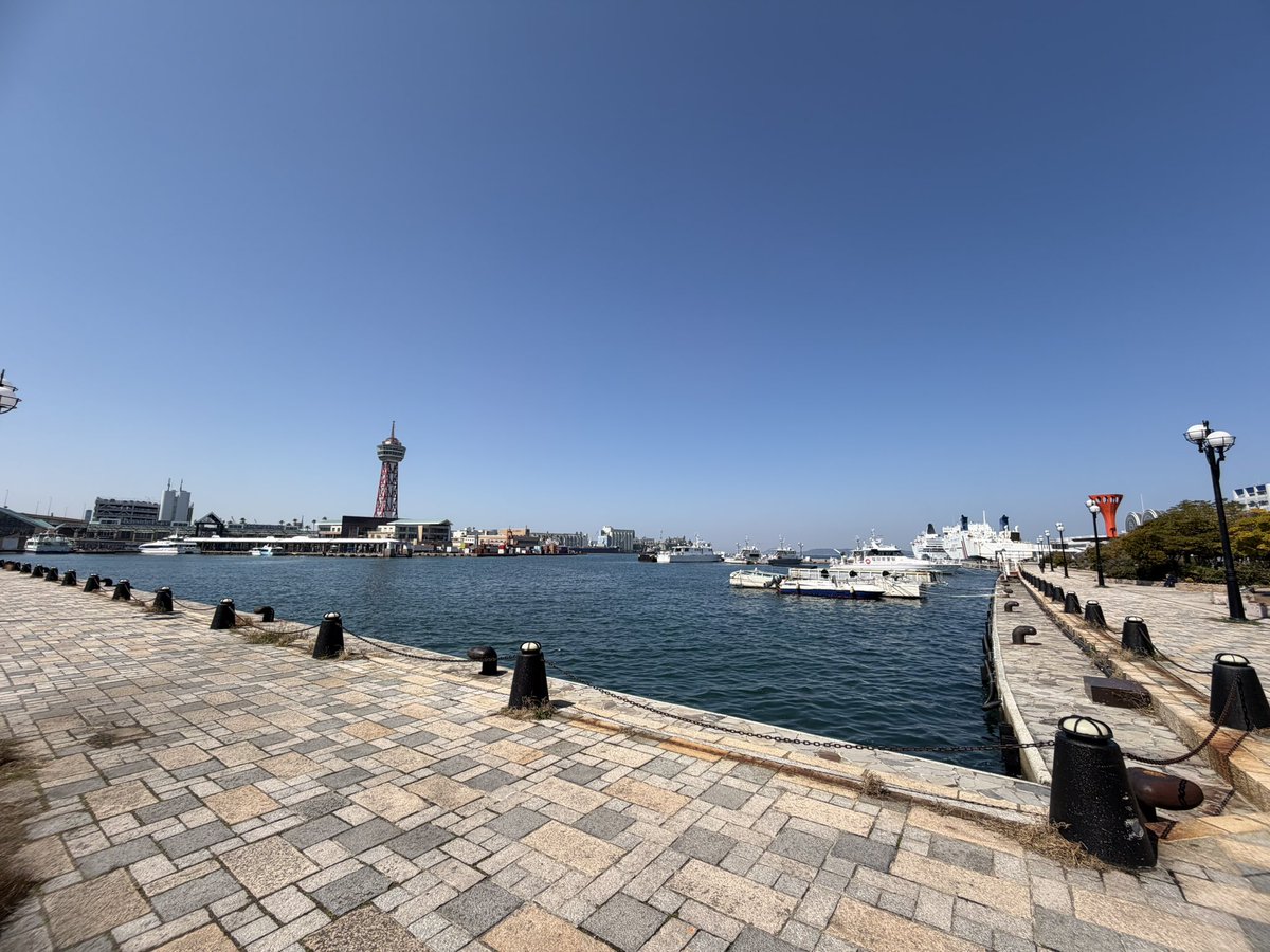 Yuichi Tamura/ 田村雄一：心臓/循環器の学際領域のひと tweet media