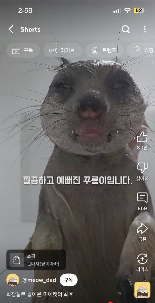 연공계 tweet media