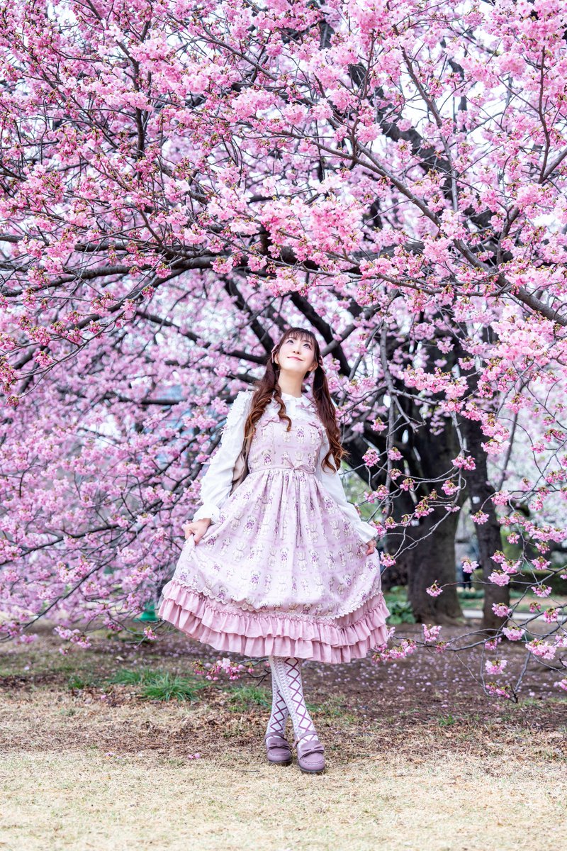 えびたん tweet media