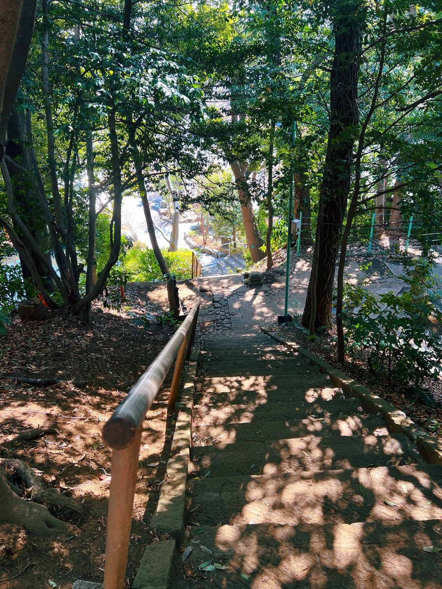 ドーナツてるの tweet media