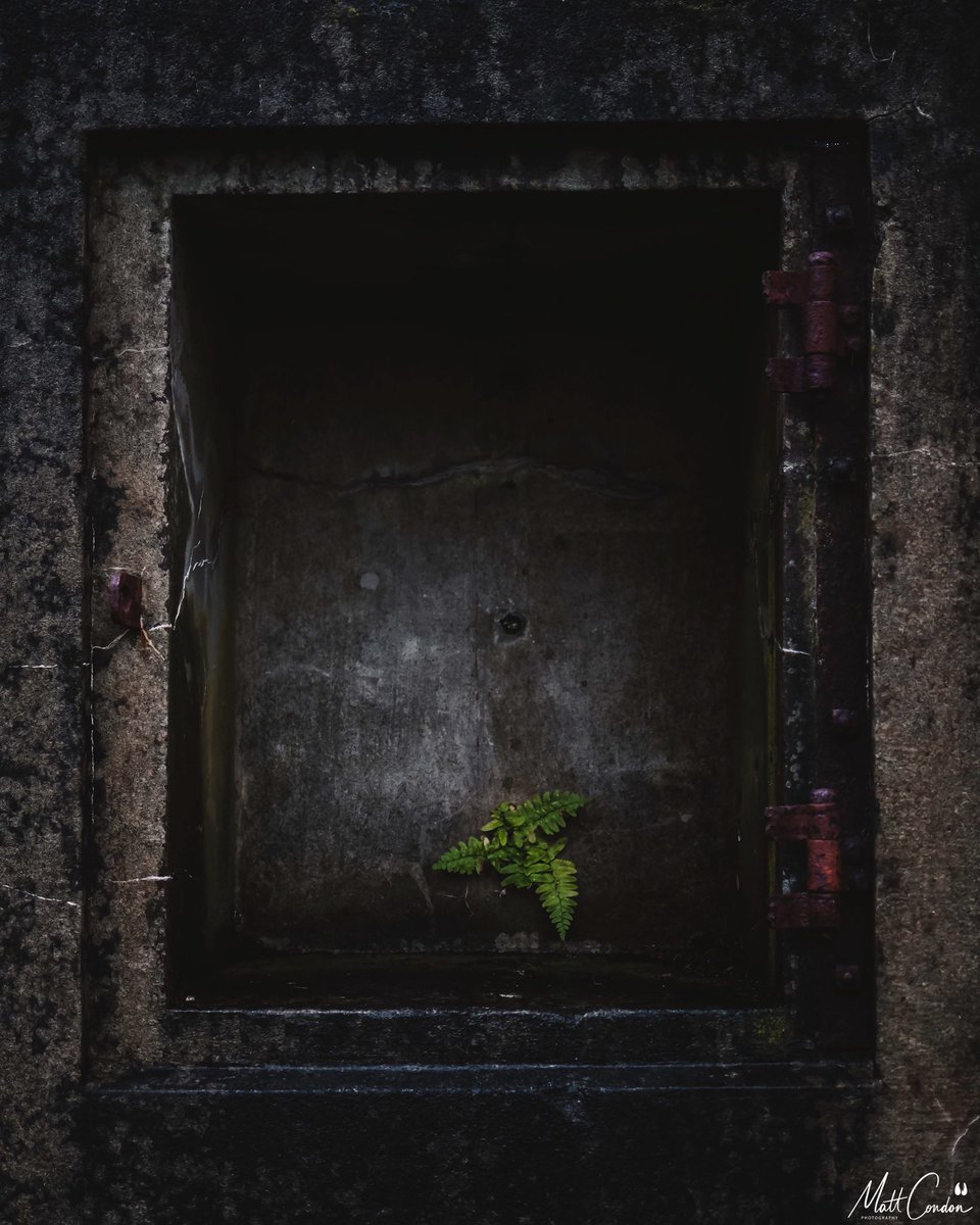 The Goat Path tweet media