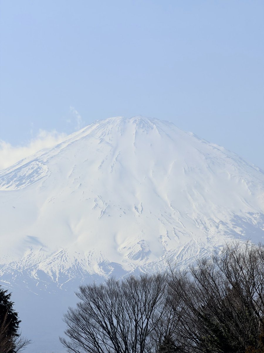 しばこうすけ tweet media