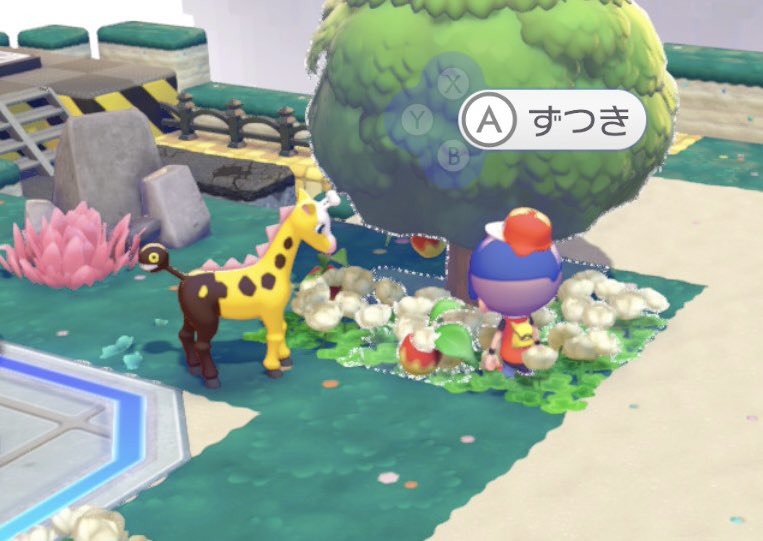 ボストン tweet media