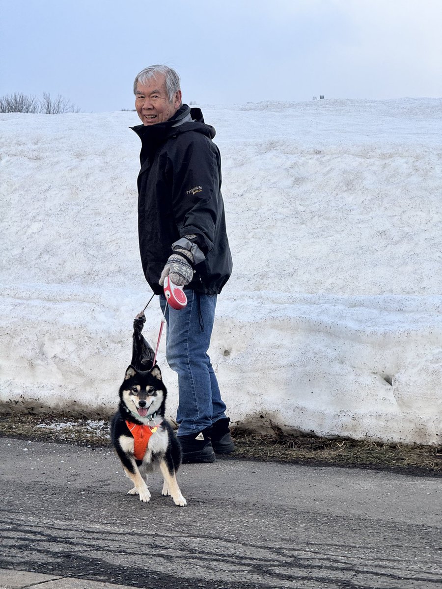 Aidoshi あいどし tweet media