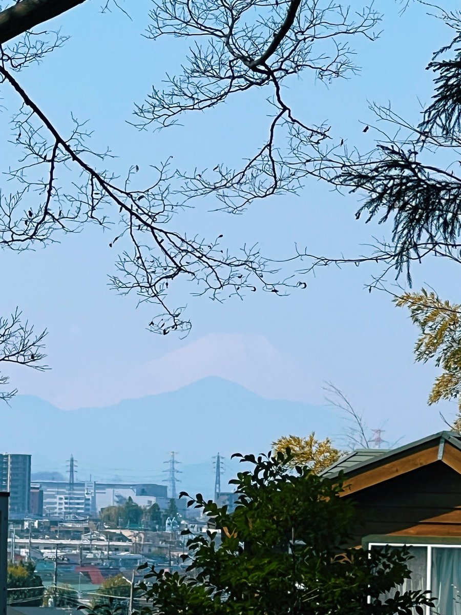 ドーナツてるの tweet media