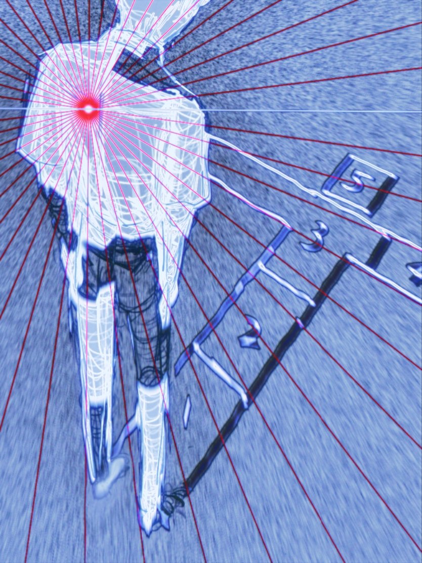 白苔hakutai tweet media