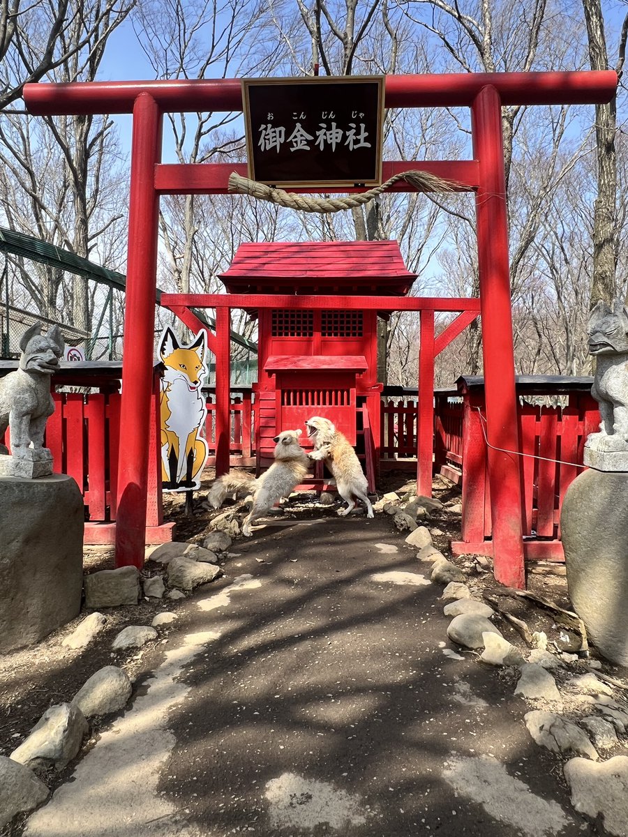 クリエイト tweet media