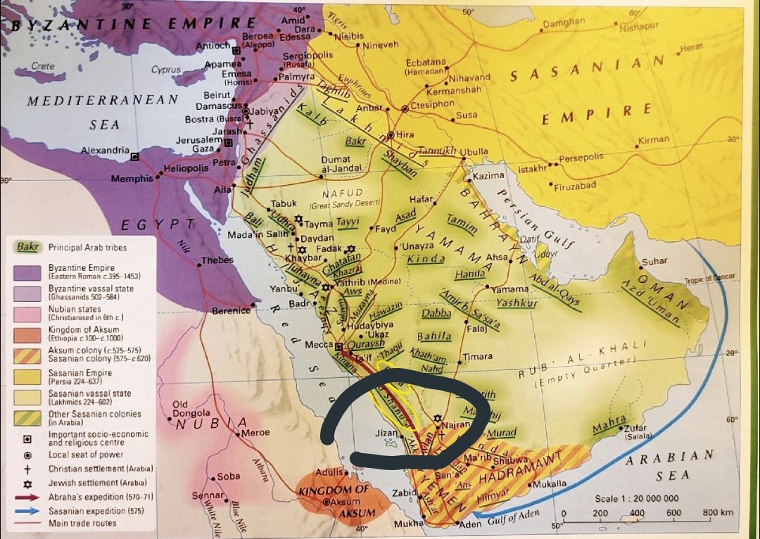 زهرة جازان 🇸🇦 tweet media