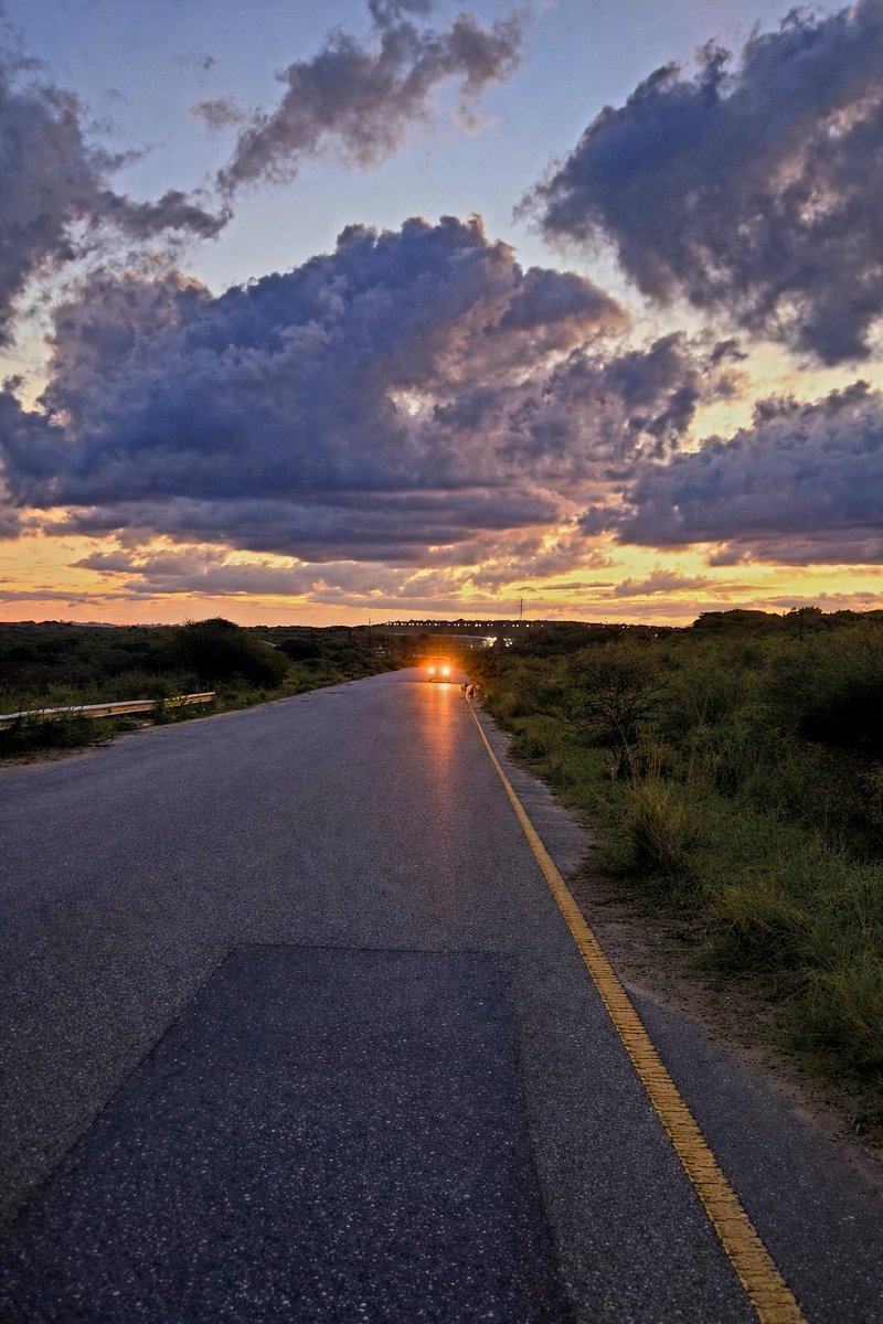 Sive M. Photography tweet media