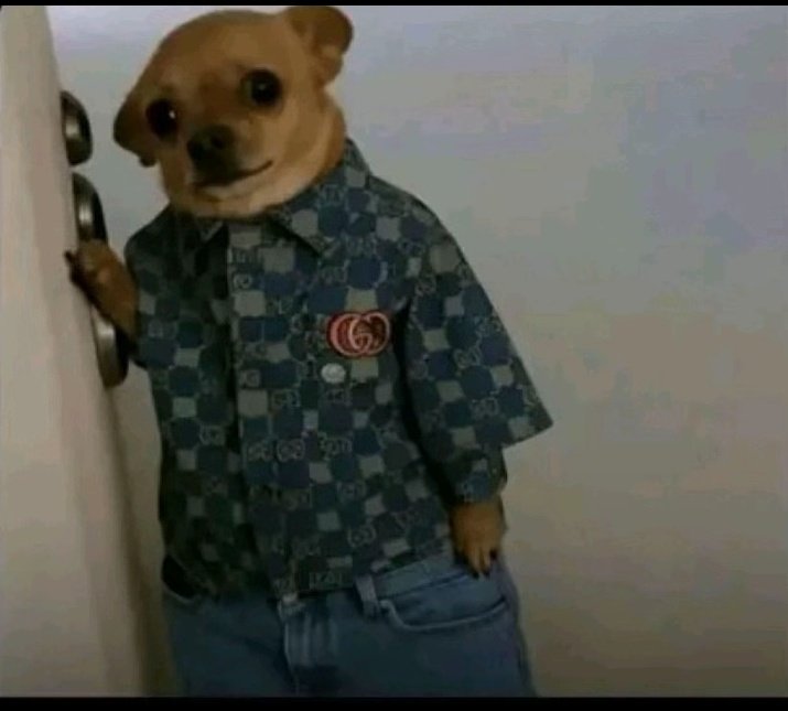 farmercist jnr 👑 tweet media