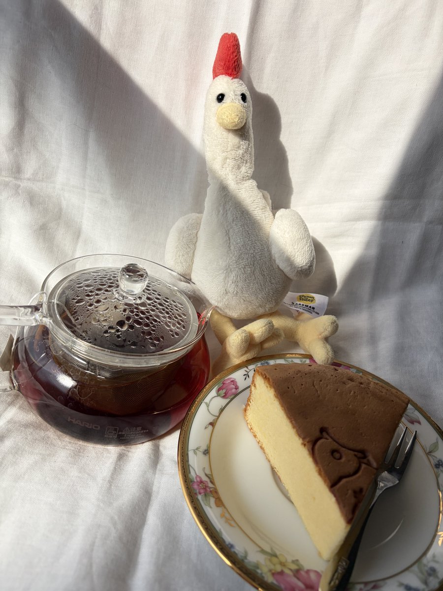 柴 太雅 tweet media