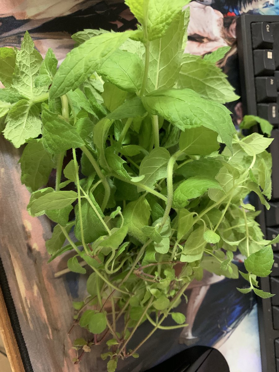 けっとしー@FF14Gaia tweet media