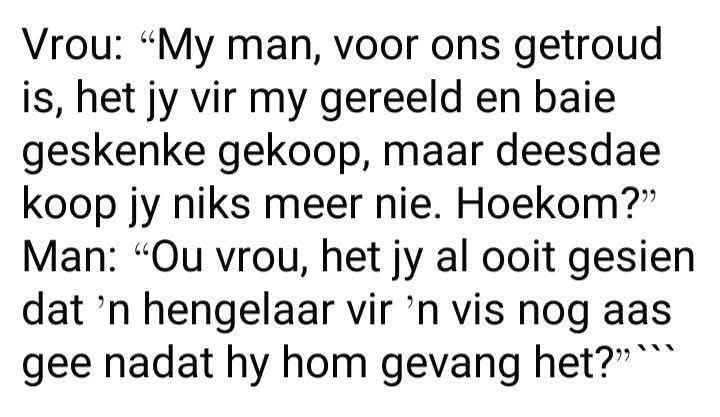 Ellie 🌹🐱🧶 tweet media