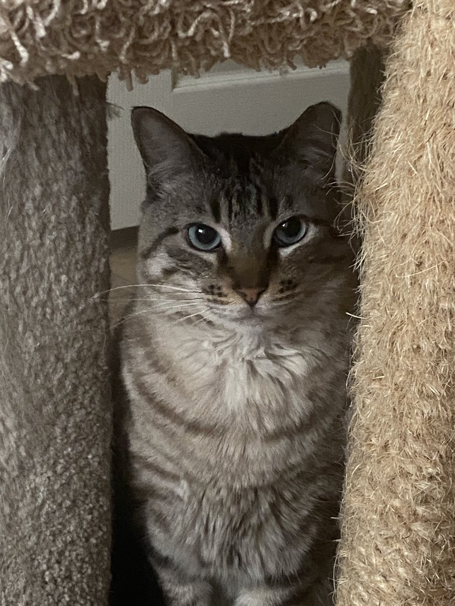 瑠菜ｯﾁ (LUNA) tweet media