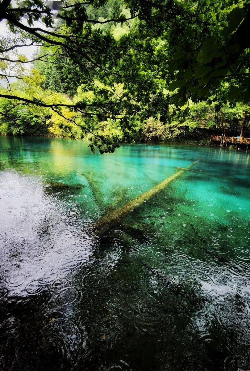 Ronie Infinity tweet media