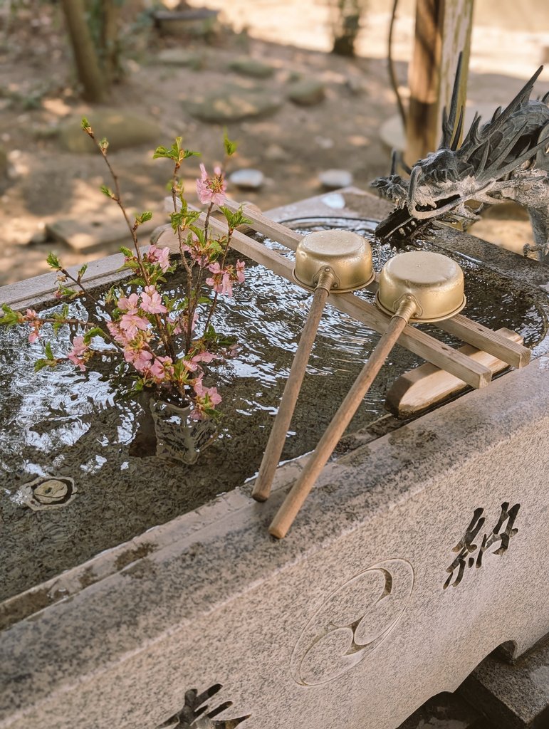 TerenceK777's tweet photo. 🌸さくら市今宮神社⛩️
🍎スティーブ・ジョブズの金言✨ https://t.co/QLGERA3UTz