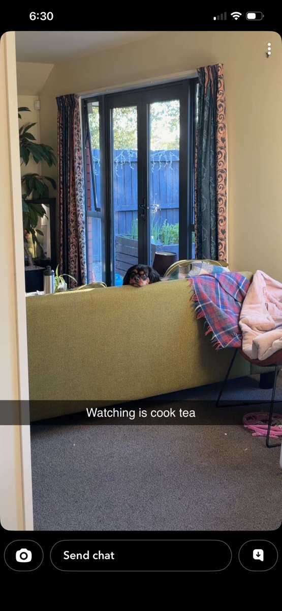 Poppy🇳🇿 tweet media